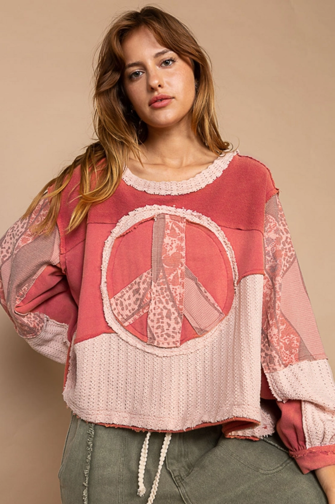 Cut Sew Peace Emblem L/S Knit Shirt