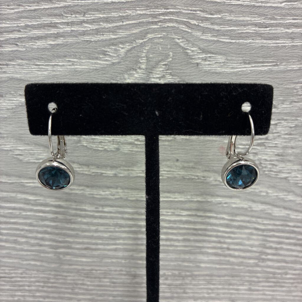 Med Round Crystal Dangle Earrings