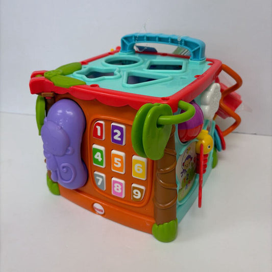Play & Learn Active Cube
