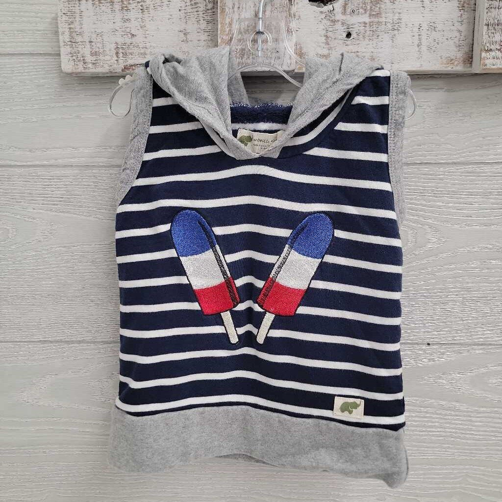 Boys Embroidered Hoodie Shirt