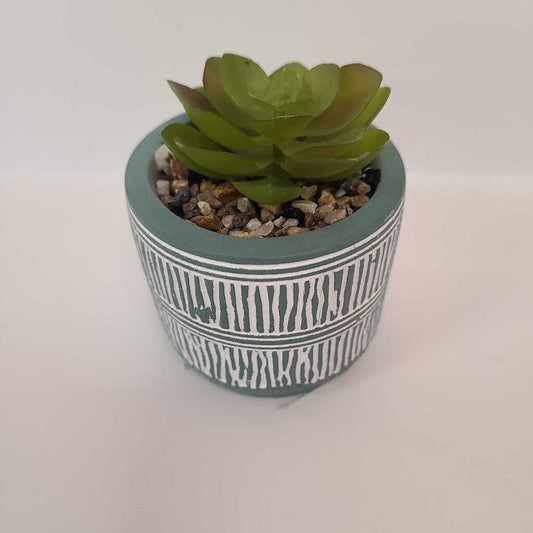 Mini Succulent Plant