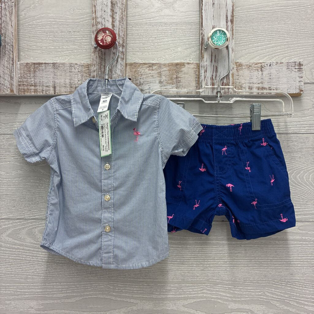 Boys Shorts & Shirt Set