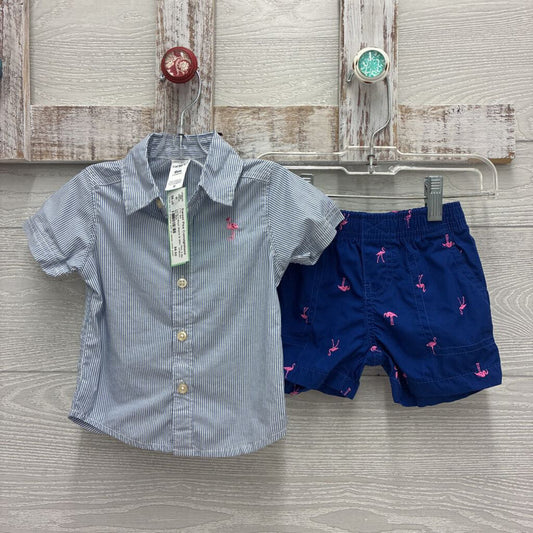 Boys Shorts & Shirt Set