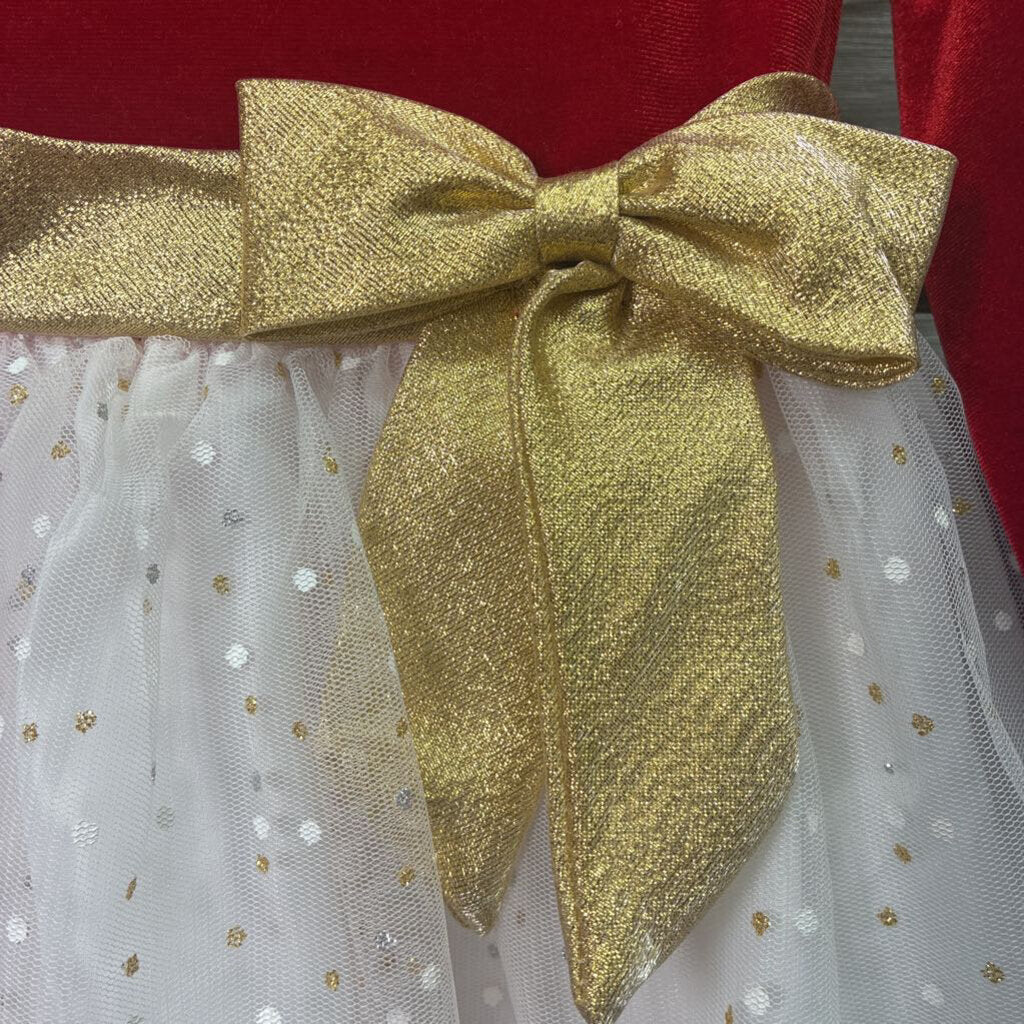 Girls Velvet & Tulle Dress