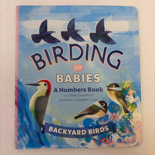 Birding for Babies