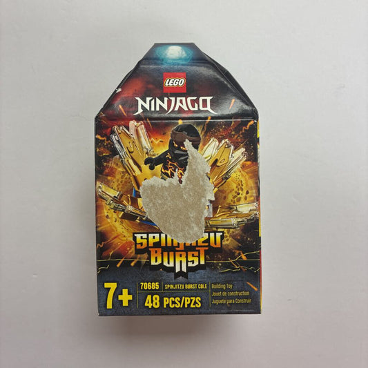 NINJAGO: Spinjitzu Burst *NEW*